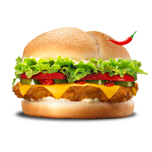 Spicy Bean Burger