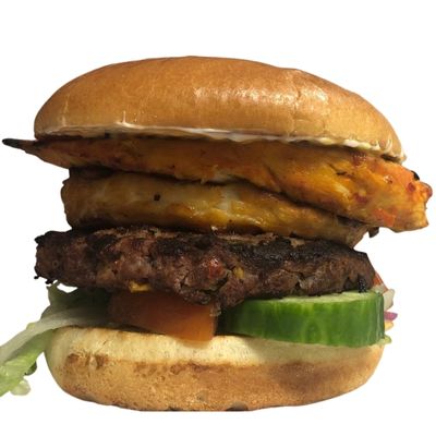 Lamb Donner Burger (own its own)